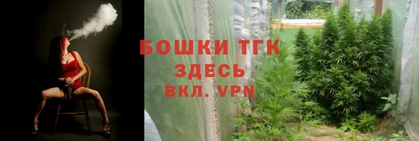 первитин Инта