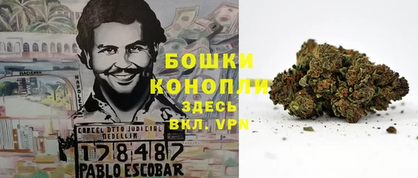 первитин Инта